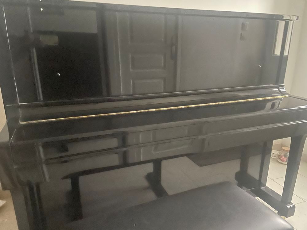 Piano acoustique Wendl &amp; Lung Instruments de musique