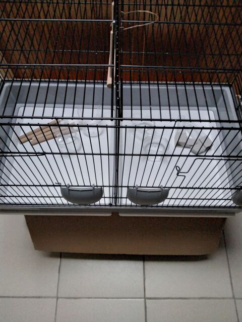 Cage a oiseaux 35 62360 Saint-lonard