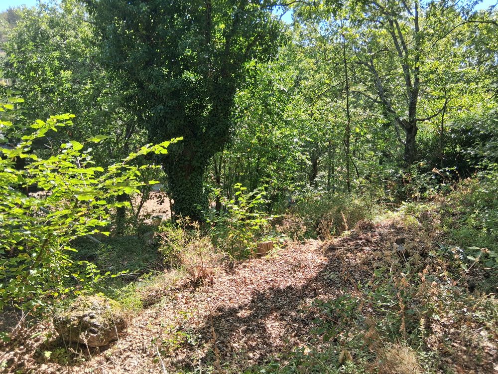 Vente Terrain Rare: dernier terrain constructible sur la commune Bézaudun-les-alpes