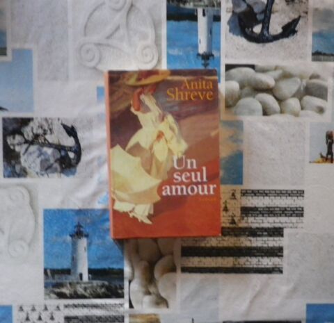 UN SEUL AMOUR de Anita SHREVE Ed. France Loisirs 4 Bubry (56)