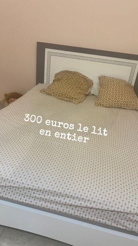 LIT 140X 190 300 Capesterre-Belle-Eau (97)