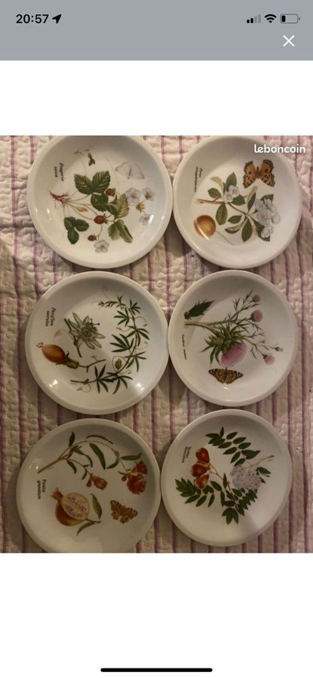 assiette vintage 