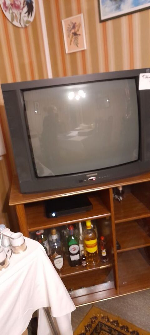 Téléviseur ancien. 30 Combrée (49)