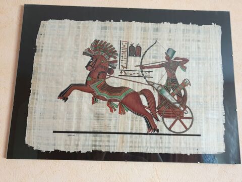 papyrus en sous verre 6 Raon-l'Étape (88)