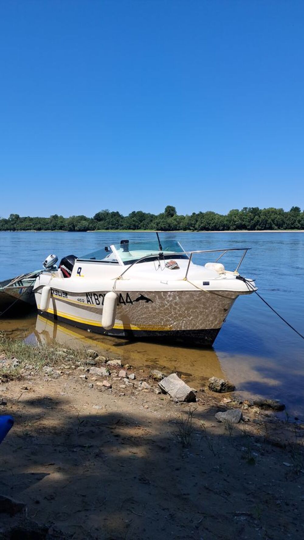 Bateau fluvial 2000 occasion 49120 Chemill&eacute;