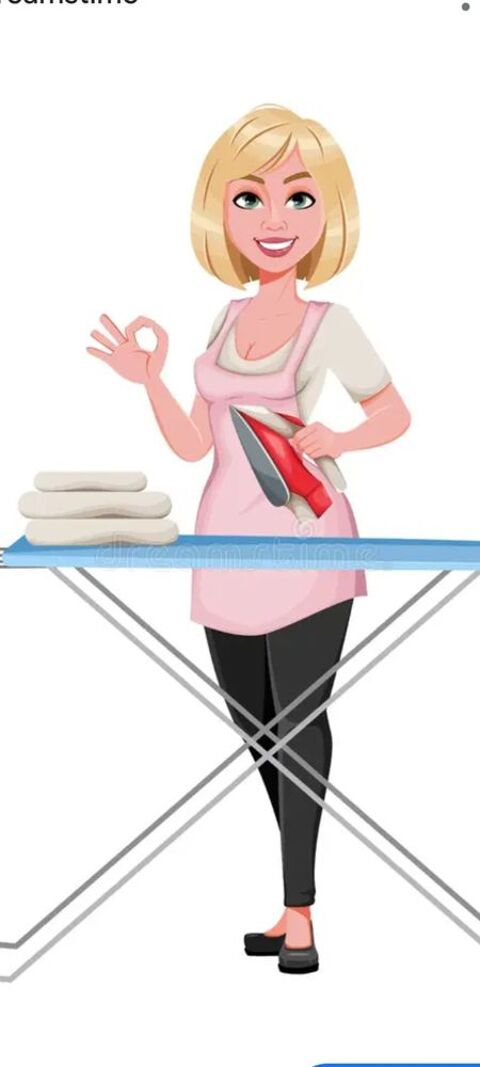 Vous aimez pas repasser votre linge ! Moi si ? 54000 Nancy