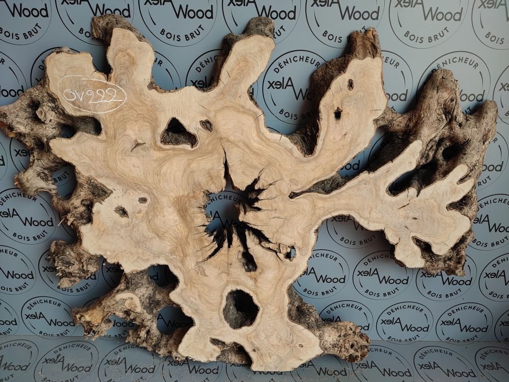 Plateau racine d'olivier XXL bois brut
Bricolage