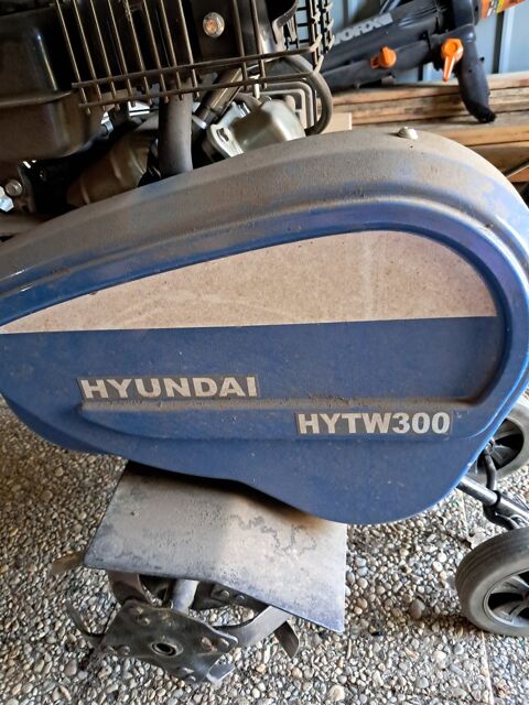 motoculteur Hyundai moteur staub 6.5 ch 250 Les Rairies (49)