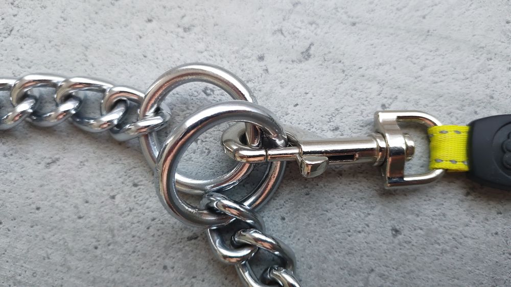 Collier Cha&icirc;ne en M&eacute;tal pour Chien en Acier Inoxydable 2-en1 Sports