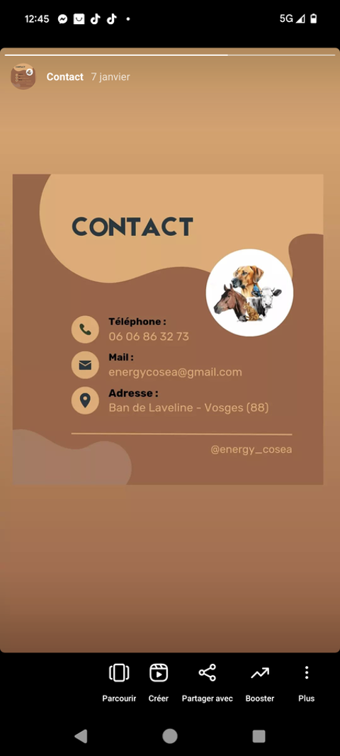 Éducateur canin, reiki animal, communication animale 60 88520 Ban-de-laveline