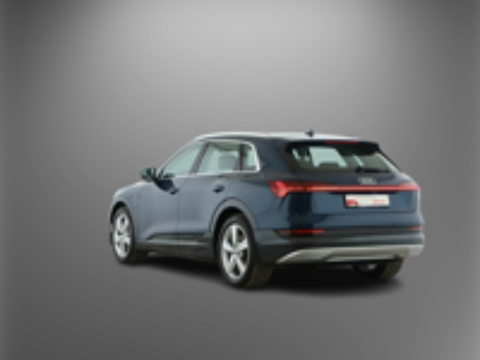 E-TRON e-tron 50 quattro 313 ch 2020 occasion 67100 Strasbourg