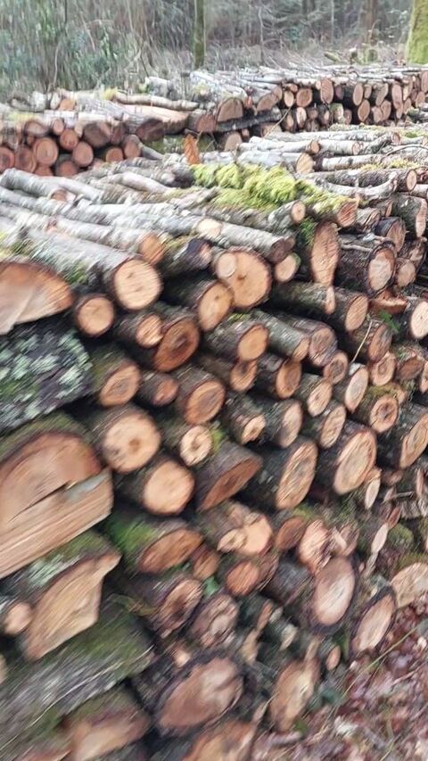 Bois chauffage 0 49340 Nuaill
