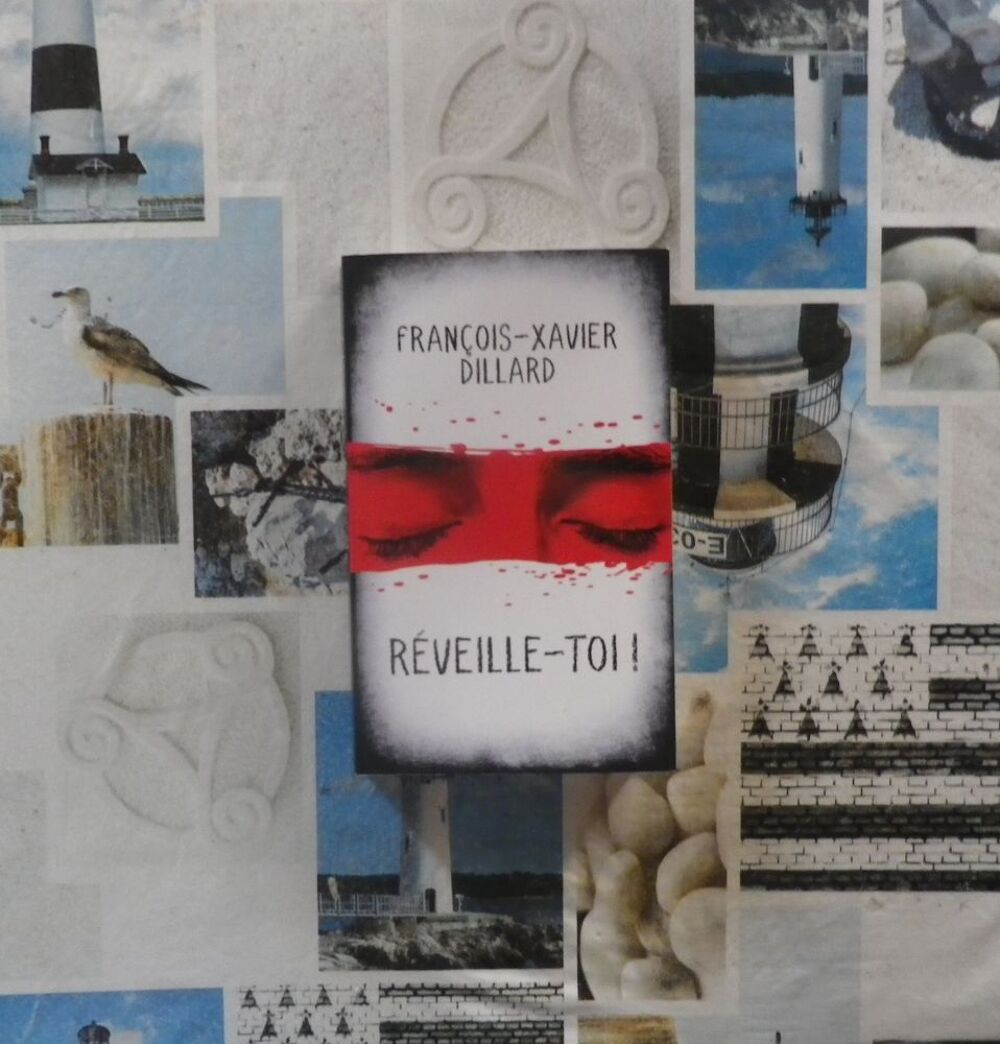 REVEILLE-TOI ! de Fran&ccedil;ois-Xavier DILLARD Ed. France Loisirs Livres et BD