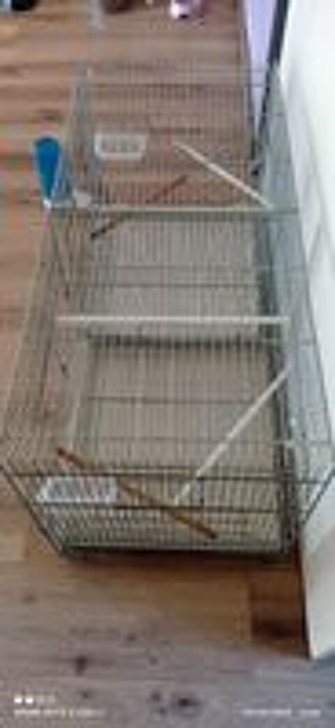   Cage  élevage  