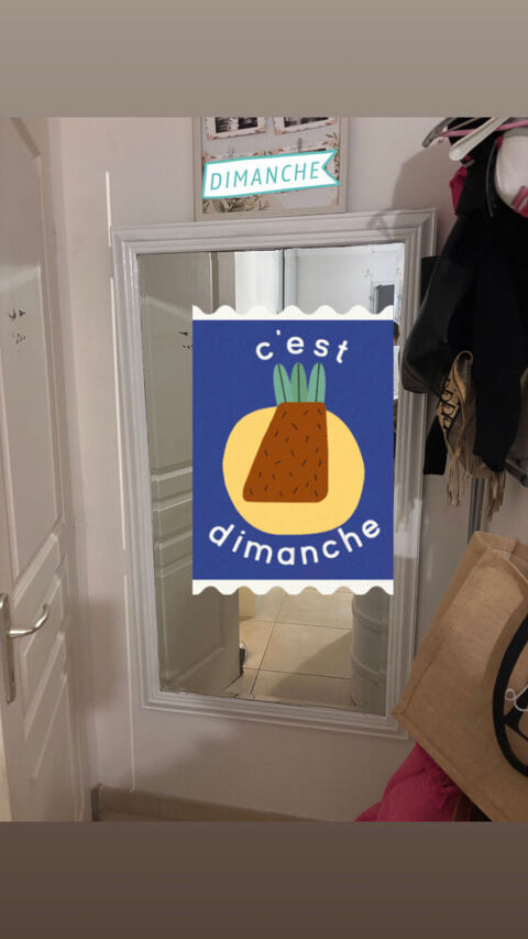 grand miroir 40 P�pieux (11)