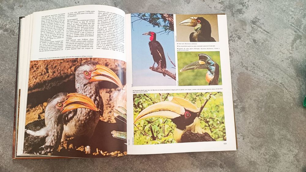 Collection encyclop&eacute;dique 'Royaune des animaux' Livres et BD