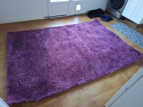 Tapis 40 Theix-noyalo (56)