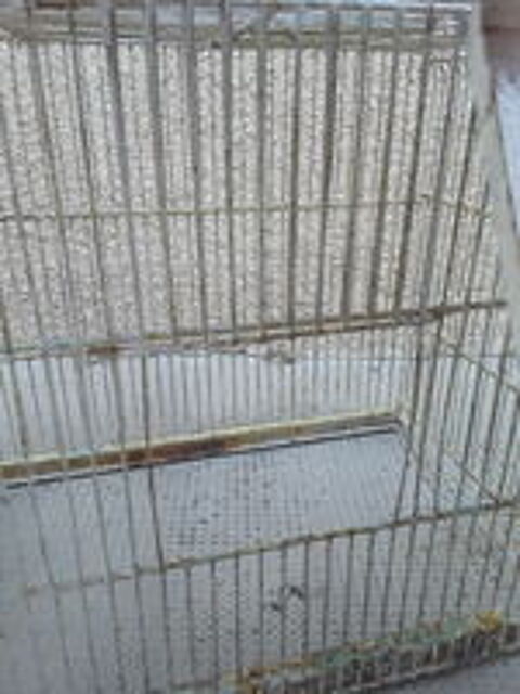   Cage 