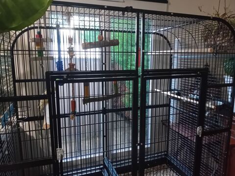 grande voliere pour perroquet et ces 2 occupants 480 32000 Auch