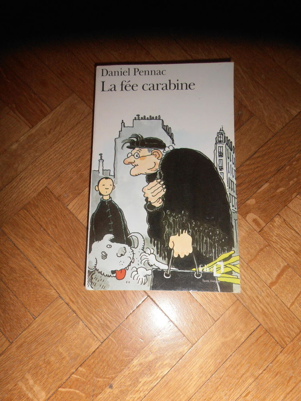 La f&eacute;e carabine (89) Livres et BD