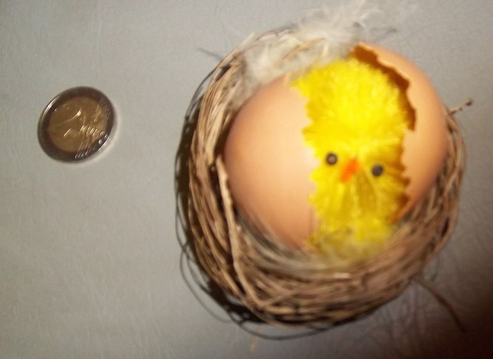 Nid oeuf avec poussin Décoration