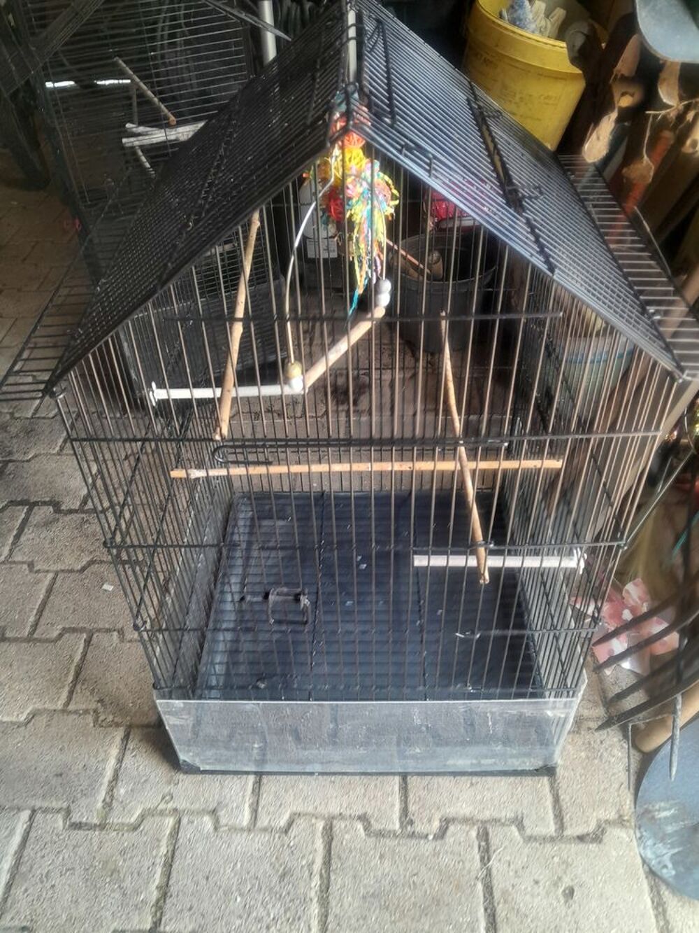   Cages  