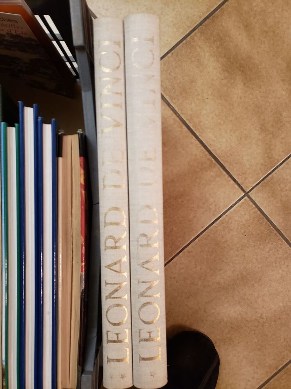 Leonard de Vinci en 2 volumes Livres et BD