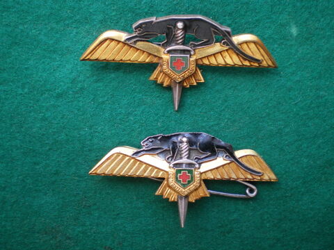 Insignes de l'Air - E.H. Maurienne C.I.E.H.341. 22 Caen (14)