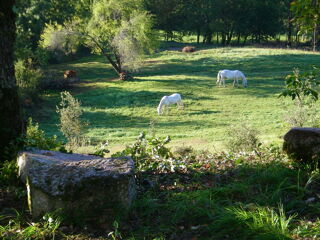  Terrain � louer 30000 m�