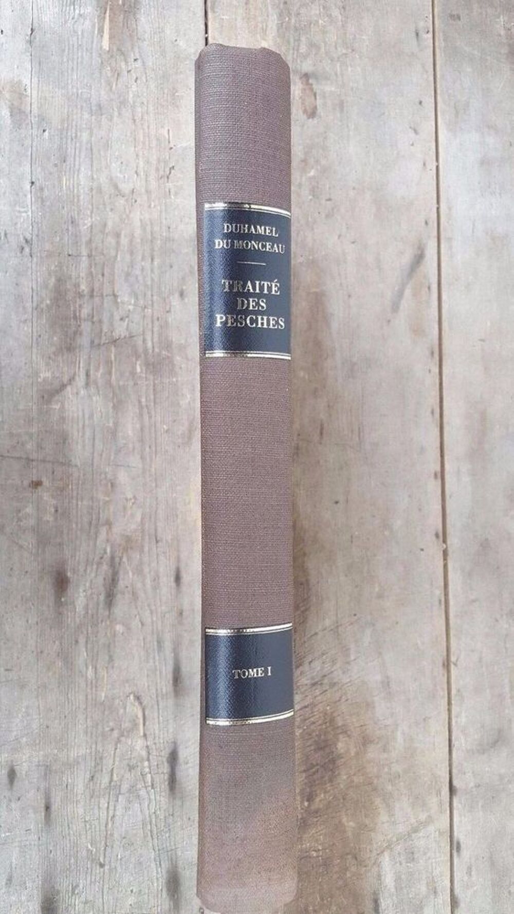  Livres rares: Trait&eacute; des Pesches Livres et BD