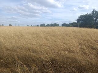  Terrain  vendre 15000 m