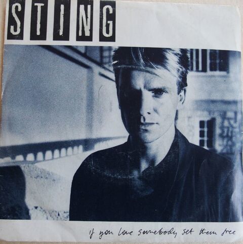 Vinyl STING 4 Lille (59)