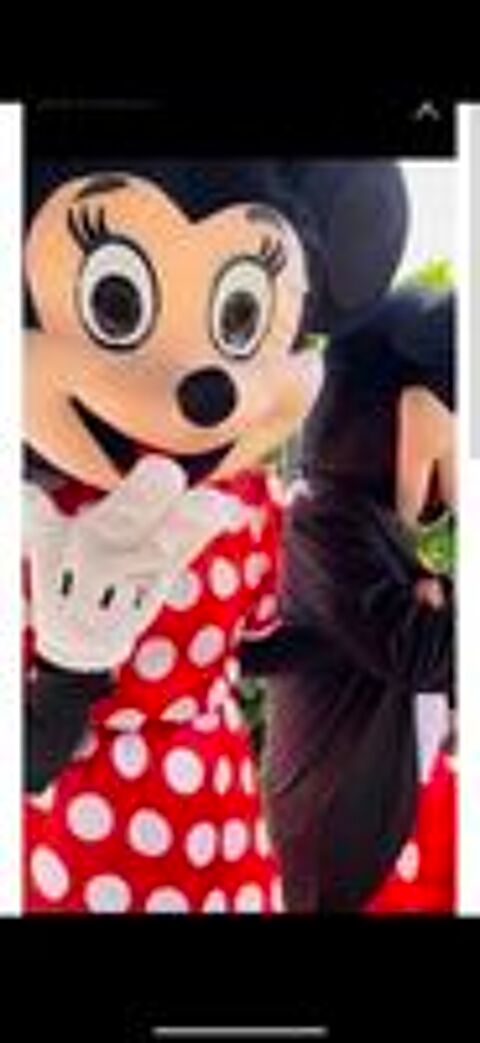   déguisement Mickey et Minnie pour événement 