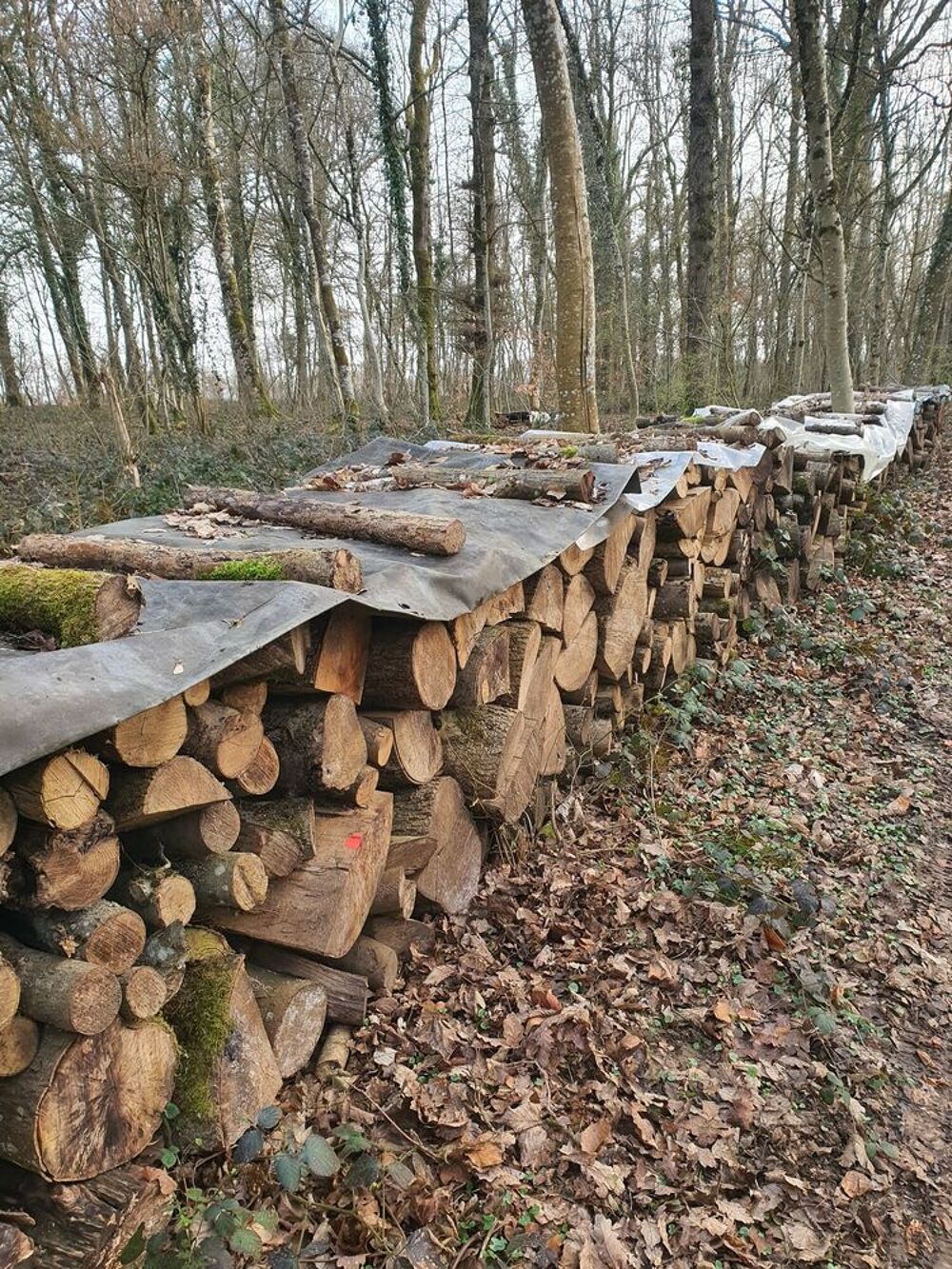 Bois de chauffage Bricolage