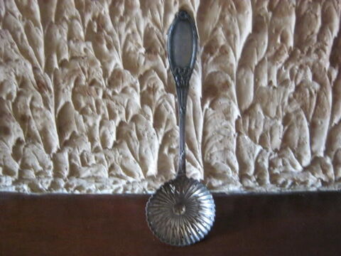 saupoudreuse a sucre 20 Souday (41)