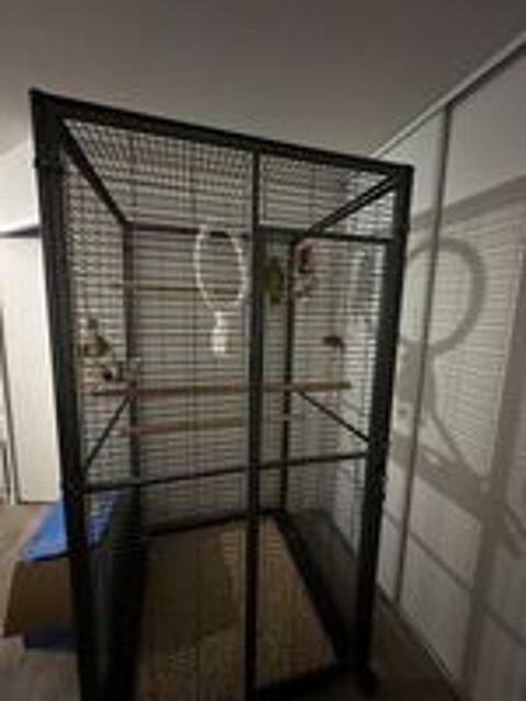   Cage volière xxl perroquet  