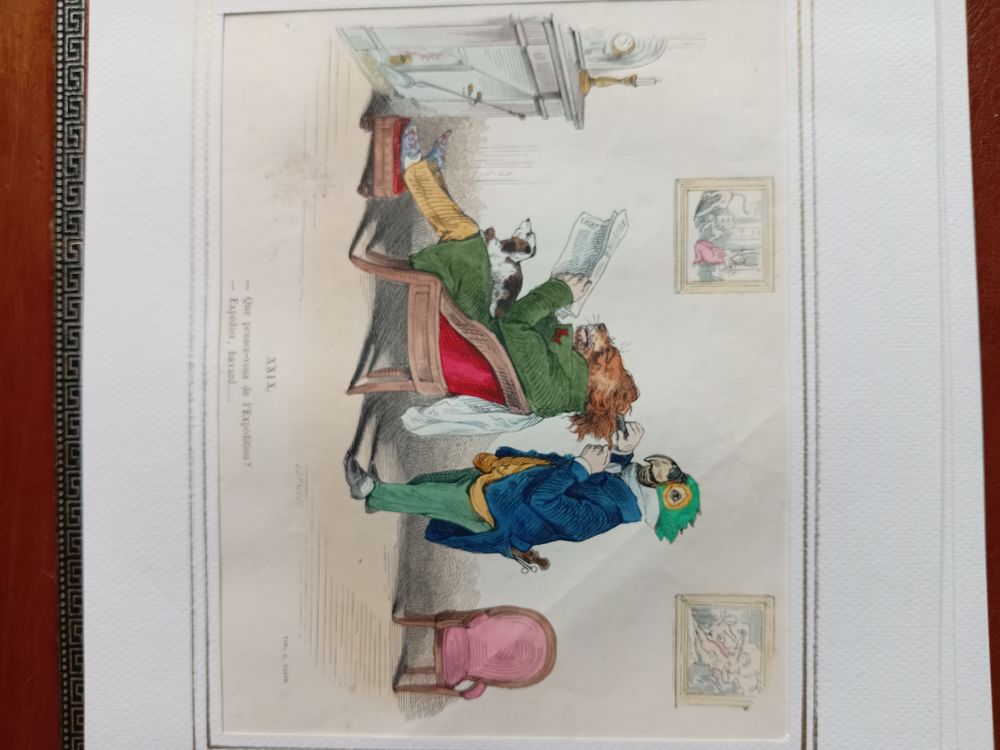 65 GRAVURES DE GRANVILLE LES METAMORPHOSES DU JOUR 
