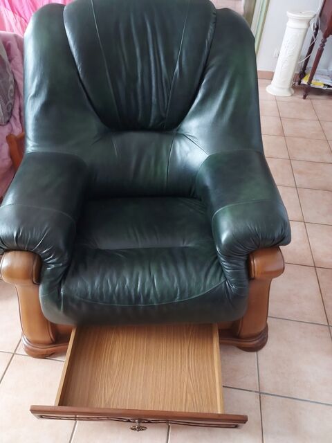 Fauteuil en Cuir Vert Classique 50 Chanceaux-sur-Choisille (37)