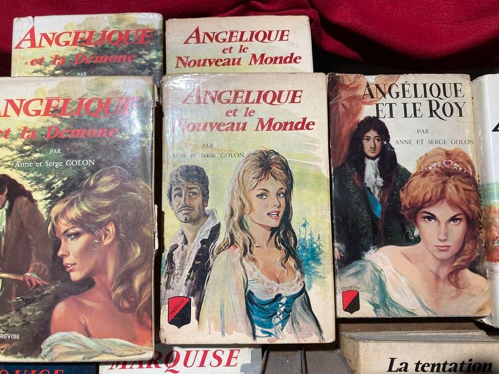 La Collection ANGELIQUE en 14 volumes / Anne et Serge Golon Livres et BD