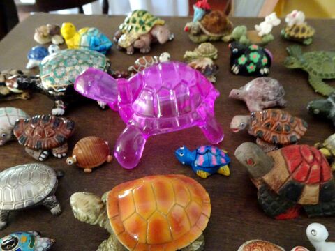 Collection Tortue 47pices 60 Monflanquin (47)