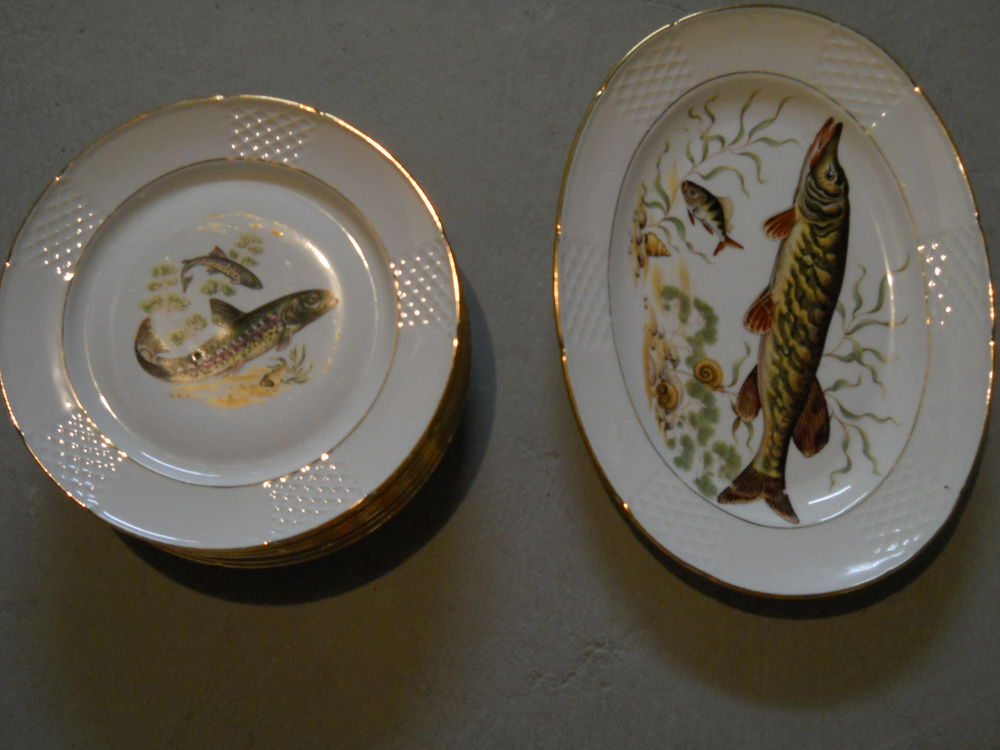 SERVICE A POISSONS Cuisine