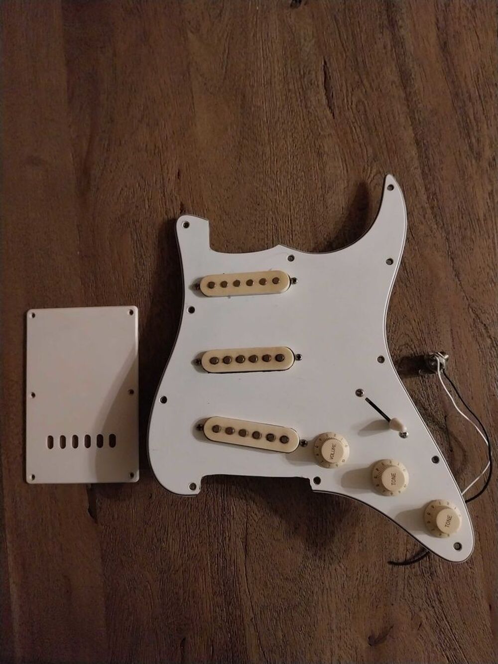 plaque copie stratocaster Instruments de musique