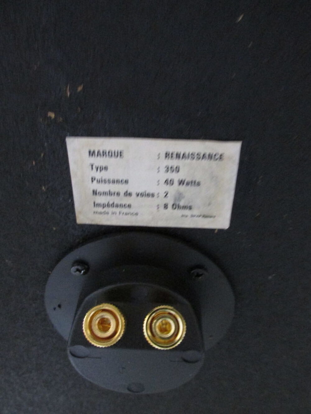 Enceintes RENAISSANCE Type 350 Audio et hifi