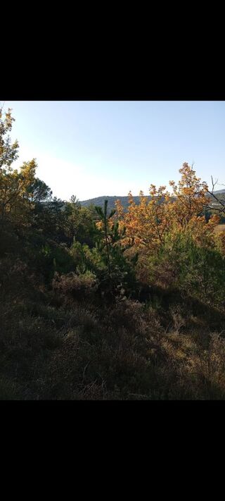  Terrain � vendre 10000 m� Entrechaux