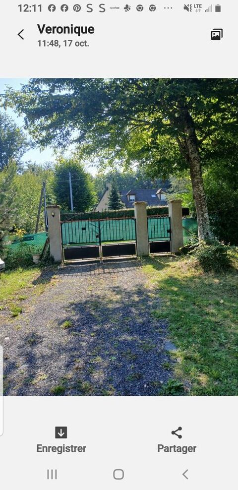 Portail de jardin peux être vendu séparément 180 Melleroy (45)