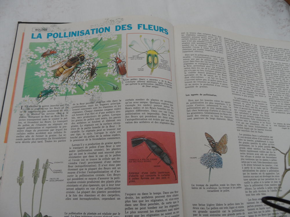 TOUTE LA SCIENCE - Encyclop&eacute;die reli&eacute;e Tome IV Livres et BD