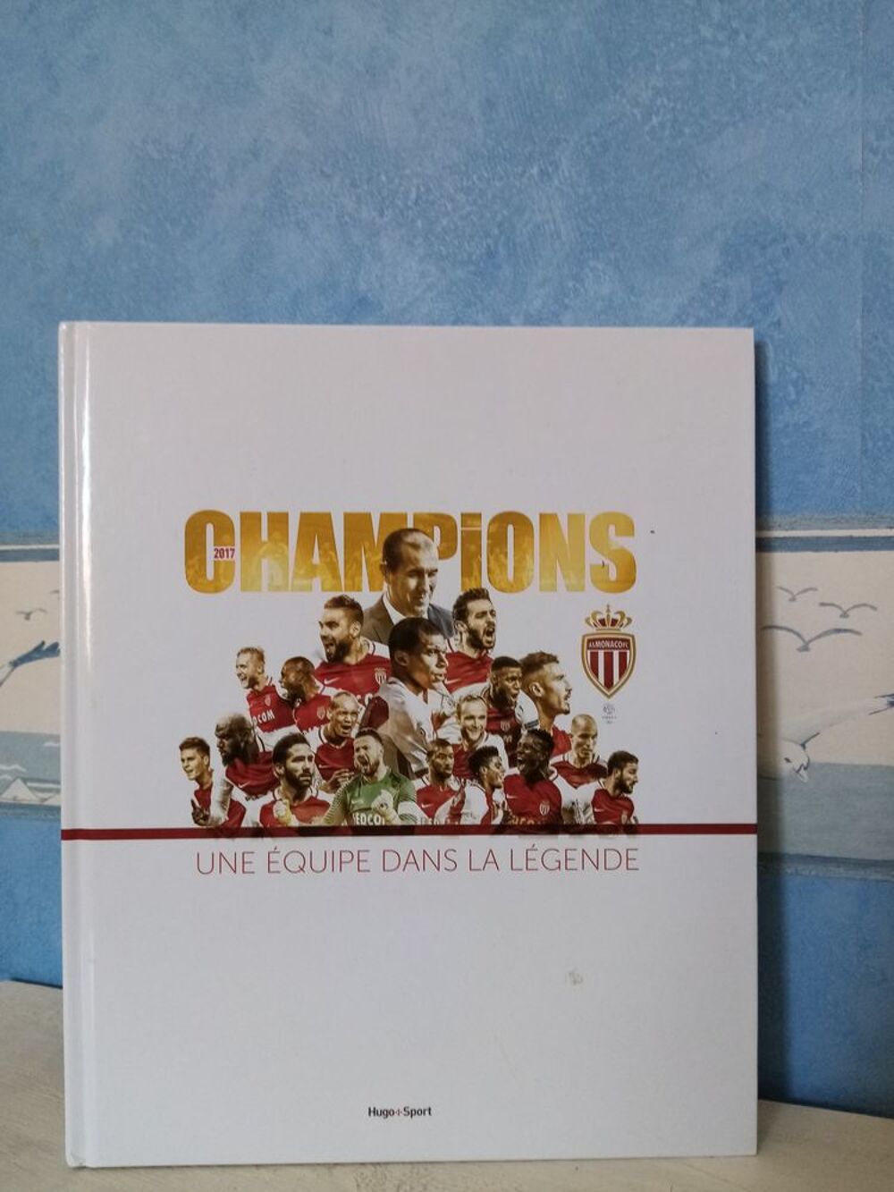 livres football Livres et BD