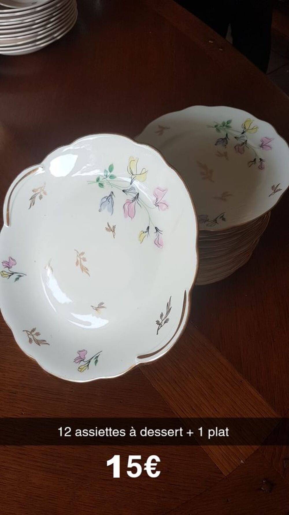 12 Assiettes &agrave; dessert et 1 plat Cuisine