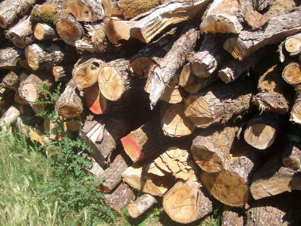 Vd bois sec t&egrave;te de ch&egrave;ne scier en 1 m&egrave;tre Bricolage