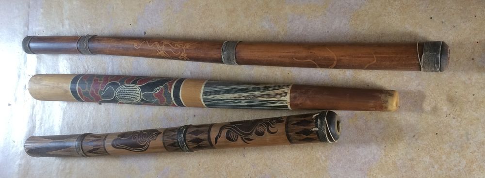 Didgeridoo Instruments de musique